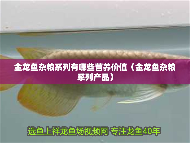 金龍魚雜糧系列有哪些營養價值（金龍魚雜糧系列產品） 金龍魚雜糧系列有哪些營養價值（金龍魚雜糧系列產品） 龍魚百科
