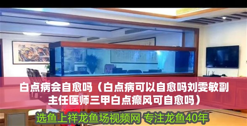 白點病會自愈嗎（白點病可以自愈嗎劉雯敏副主任醫師三甲白點癲風可自愈嗎）