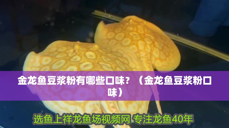 金龍魚豆漿粉有哪些口味？（金龍魚豆漿粉口味）