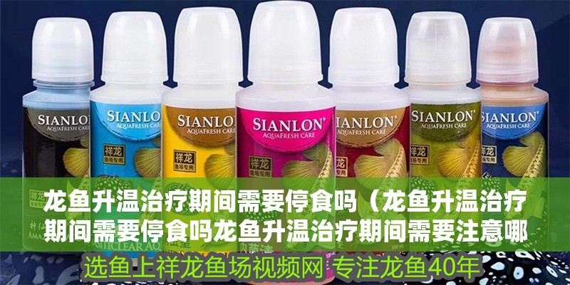 龍魚升溫治療期間需要停食嗎（龍魚升溫治療期間需要停食嗎龍魚升溫治療期間需要注意哪些事項）