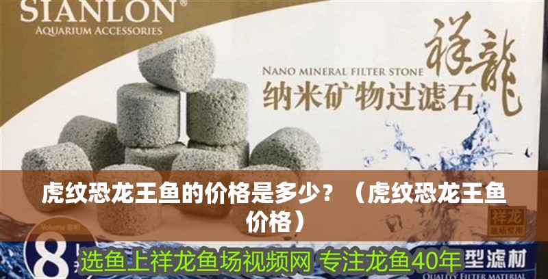 虎紋恐龍王魚的價格是多少？（虎紋恐龍王魚價格）