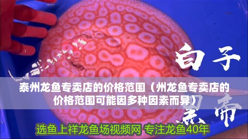 <strong><mark>泰州</mark></strong>龍魚專賣店的價格范圍（州龍魚專賣店的價格范圍可能因多種因素而異）