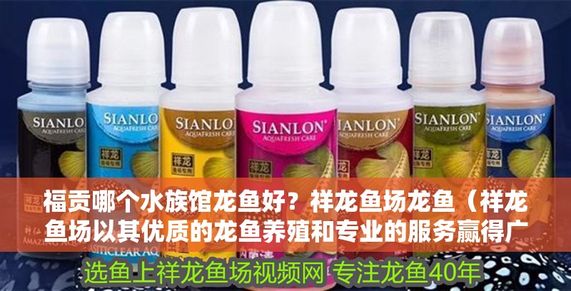 福貢哪個水族館龍魚好？祥龍魚場龍魚（祥龍魚場以其優質的龍魚養殖和專業的服務贏得廣大游客喜愛）