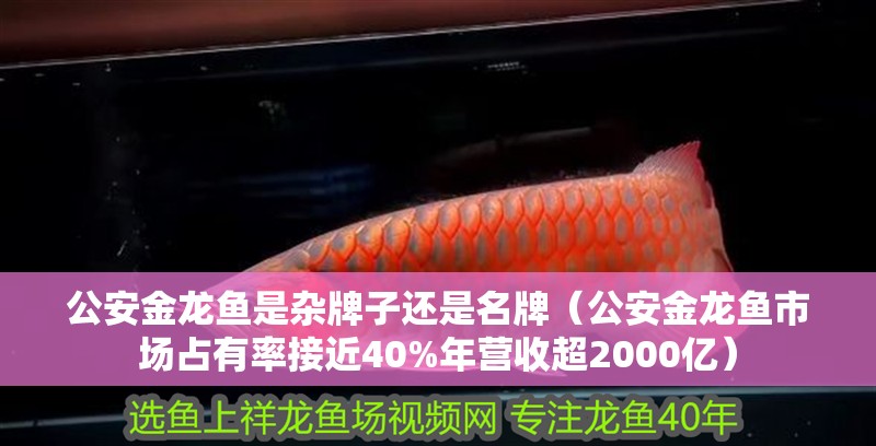 <strong><mark>公安</mark></strong>金龍魚是雜牌子還是名牌（<strong><mark>公安</mark></strong>金龍魚市場占有率接近40%年?duì)I收超2000億）