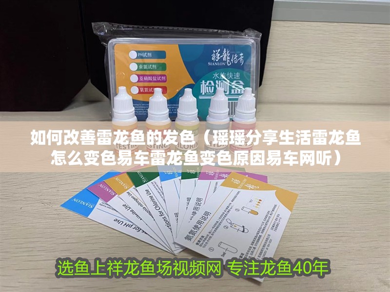 如何改善雷龍魚的發色（瑤瑤分享生活雷龍魚怎么變色易車雷龍魚變色原因易車網聽）