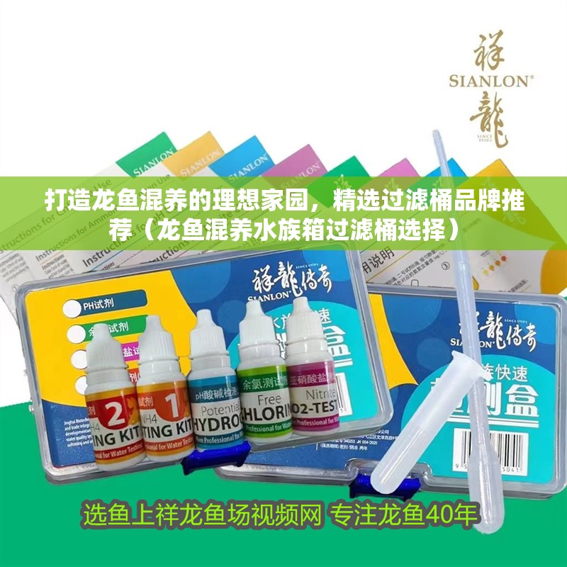 打造龍魚(yú)混養(yǎng)的理想家園，精選過(guò)濾桶品牌推薦（龍魚(yú)混養(yǎng)水族箱過(guò)濾桶選擇）