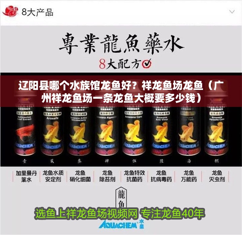 遼陽縣哪個水族館龍魚好？祥龍魚場龍魚（廣州祥龍魚場一條龍魚大概要多少錢）