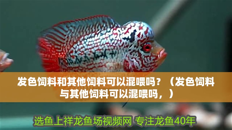 發(fā)色飼料和其他飼料可以混喂嗎？（發(fā)色飼料與其他飼料可以混喂嗎，） 發(fā)色飼料和其他飼料可以混喂嗎？（發(fā)色飼料與其他飼料可以混喂嗎，） 龍魚百科