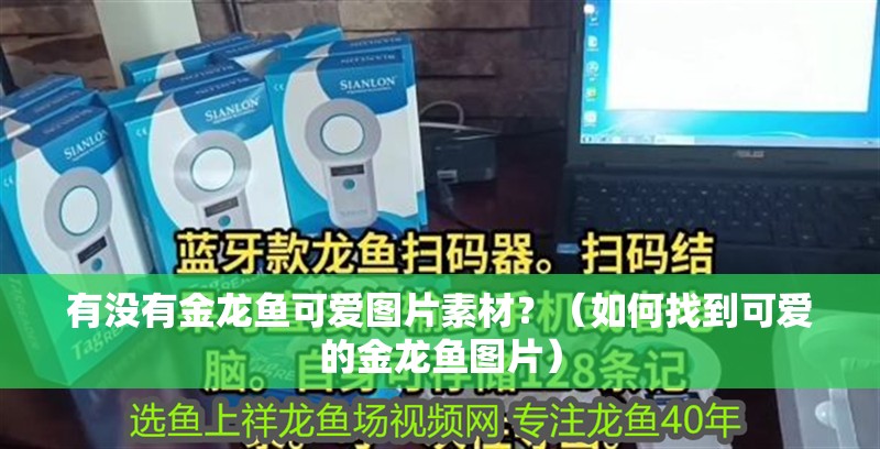 有沒有金龍魚可愛圖片素材？（如何找到可愛的金龍魚圖片）