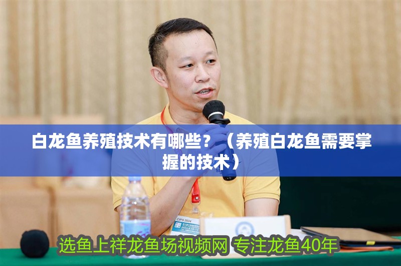 白龍魚養殖技術有哪些？（養殖白龍魚需要掌握的技術）