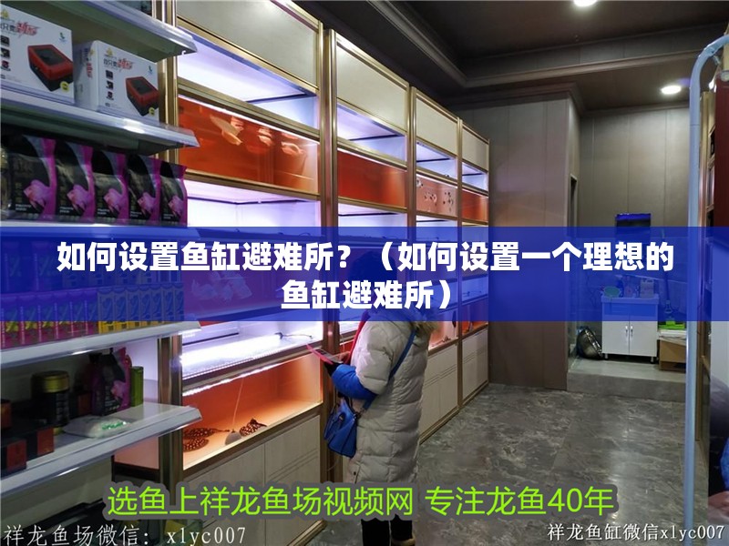 如何設(shè)置魚缸避難所？（如何設(shè)置一個(gè)理想的魚缸避難所）