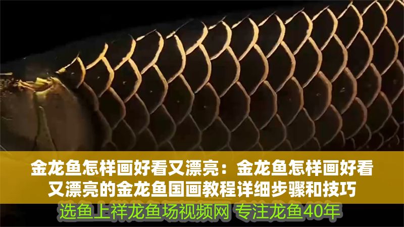 金龍魚怎樣畫好看又漂亮：金龍魚怎樣畫好看又漂亮的金龍魚國畫教程詳細步驟和技巧