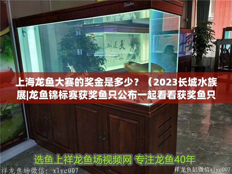 <strong><mark>上海</mark></strong>龍魚大賽的獎金是多少？（2023長城水族展|龍魚錦標賽獲獎魚只公布一起看看獲獎魚只的風采）