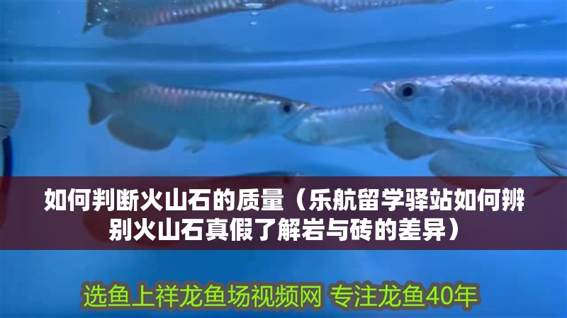 如何判斷火山石的質量（樂航留學驛站如何辨別火山石真假了解巖與磚的差異）