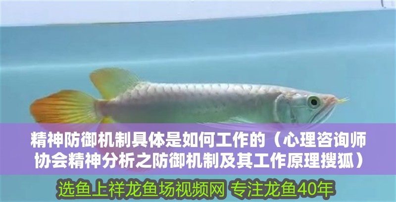 精神防御機(jī)制具體是如何工作的（心理咨詢師協(xié)會精神分析之防御機(jī)制及其工作原理搜狐）