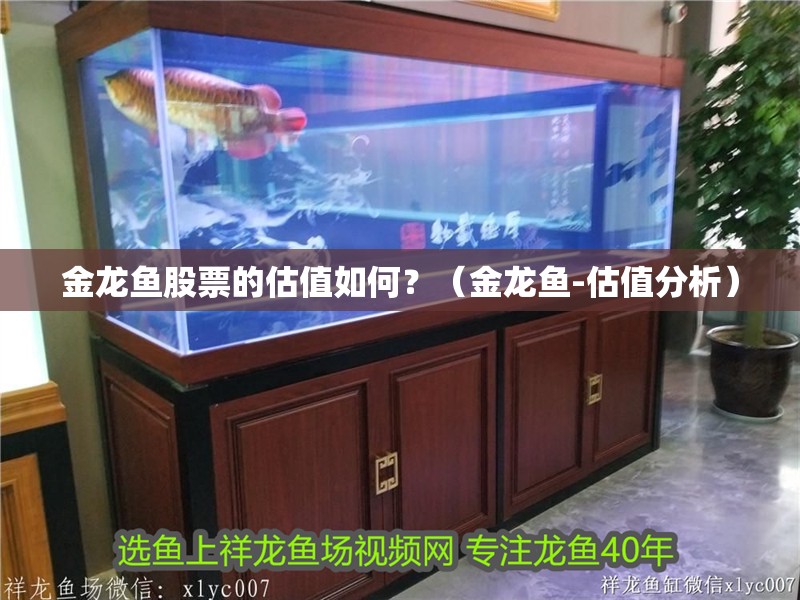 金龍魚股票的估值如何？（金龍魚-估值分析）