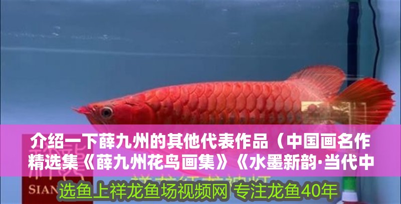 介紹一下薛九州的其他代表作品（中國畫名作精選集《薛九州花鳥畫集》《水墨新韻·當代中國畫名作精選集》）