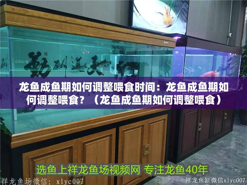 龍魚成魚期如何調整喂食時間：龍魚成魚期如何調整喂食？（龍魚成魚期如何調整喂食）