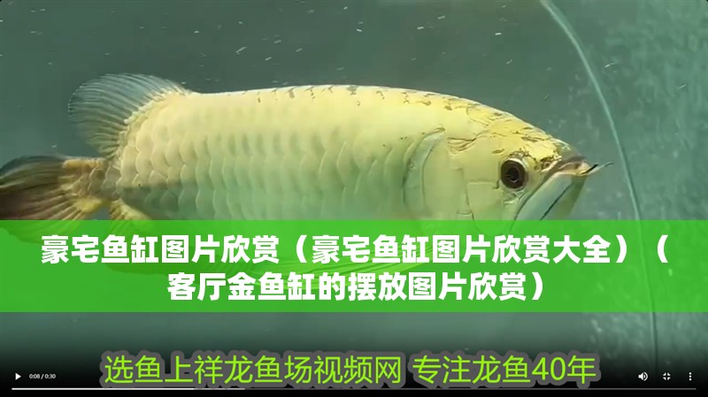 豪宅魚缸圖片欣賞（豪宅魚缸圖片欣賞大全）（客廳金魚缸的擺放圖片欣賞）