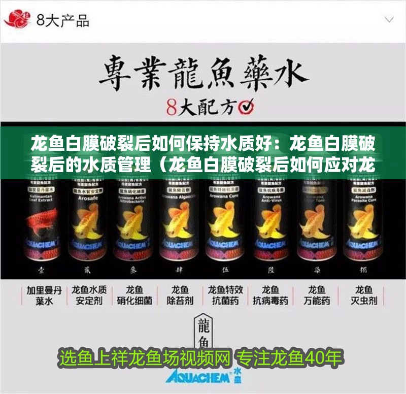 龍魚白膜破裂后如何保持水質(zhì)好：龍魚白膜破裂后的水質(zhì)管理（龍魚白膜破裂后如何應(yīng)對(duì)龍魚白膜破裂后如何保持水質(zhì)管理）