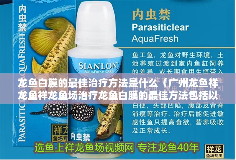 龍魚白膜的最佳治療方法是什么（廣州龍魚祥龍魚祥龍魚場治療龍魚白膜的最佳方法包括以下幾個方面）