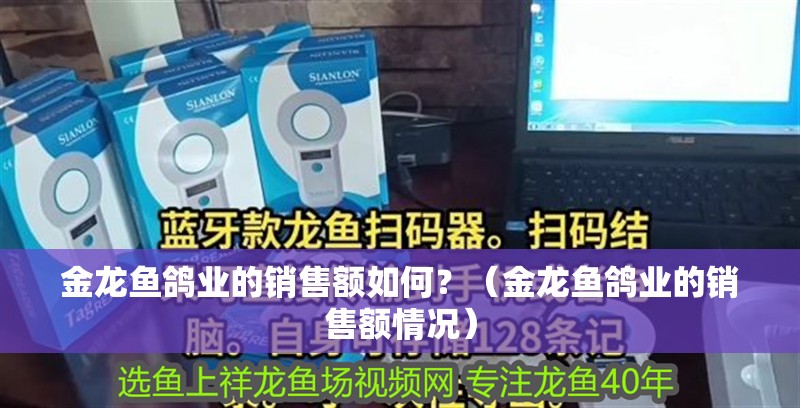 金龍魚(yú)鴿業(yè)的銷售額如何？（金龍魚(yú)鴿業(yè)的銷售額情況）