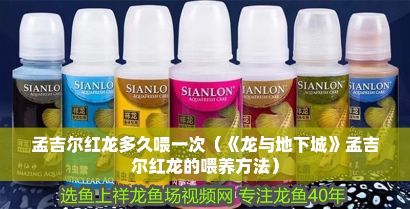 孟吉爾紅龍多久喂一次（《龍與地<strong><mark>下城</mark></strong>》孟吉爾紅龍的喂養方法）