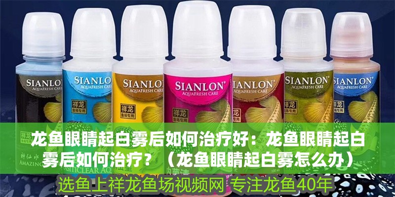 龍魚眼睛起白霧后如何治療好：龍魚眼睛起白霧后如何治療？（龍魚眼睛起白霧怎么辦）