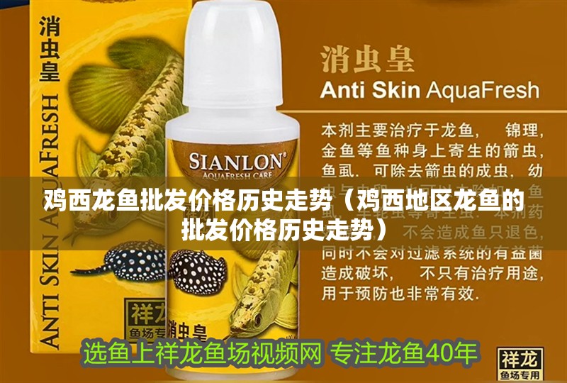 雞西龍魚(yú)批發(fā)價(jià)格歷史走勢(shì)（雞西地區(qū)龍魚(yú)的批發(fā)價(jià)格歷史走勢(shì)）