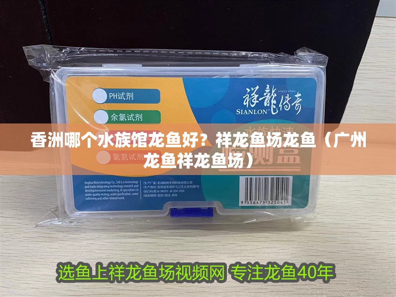 香洲哪個(gè)水族館龍魚好？祥龍魚場(chǎng)龍魚（廣州龍魚祥龍魚場(chǎng)）