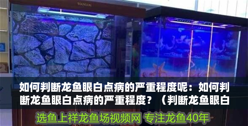 如何判斷龍魚(yú)眼白點(diǎn)病的嚴(yán)重程度呢：如何判斷龍魚(yú)眼白點(diǎn)病的嚴(yán)重程度？（判斷龍魚(yú)眼白點(diǎn)病的嚴(yán)重程度）