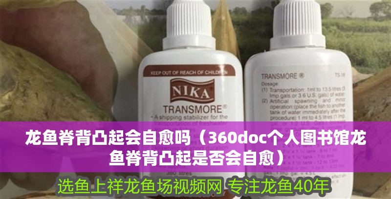 龍魚干蝦有營養嗎 龍魚脊背凸起會自愈嗎(360doc個人圖書館龍魚脊背凸起是否會自愈) 龍魚百科 龍魚脊背凸起會自愈嗎(360doc個人圖書館龍魚脊背凸起是否會自愈) 龍魚脊背凸起會自愈嗎(360doc個人圖書館龍魚脊背凸起是否會自愈) 龍魚百科