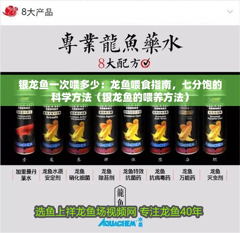 銀龍魚一次喂多少：龍魚喂食指南，七分飽的科學方法（銀龍魚的喂養方法）