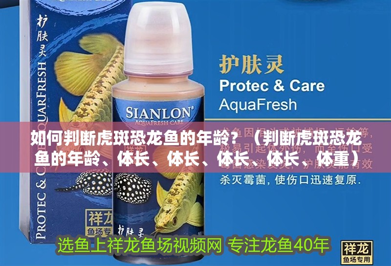 如何判斷虎斑恐龍魚的年齡？（判斷虎斑恐龍魚的年齡、體長、體長、體長、體長、體重）
