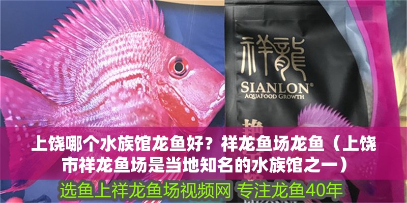 上饒哪個水族館龍魚好？祥龍魚場龍魚（上饒市祥龍魚場是當?shù)刂乃屦^之一）