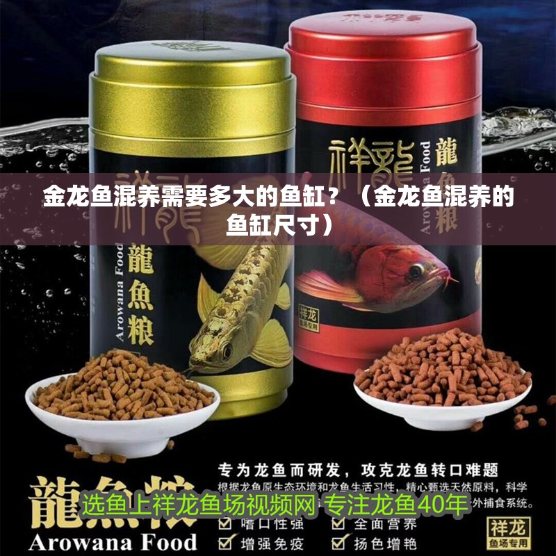 金龍魚混養需要多大的魚缸？（金龍魚混養的魚缸尺寸）