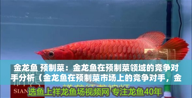 金龍魚 預制菜：金龍魚在預制菜領域的競爭對手分析（金龍魚在預制菜市場上的競爭對手，金龍魚在預制菜領域的發展）