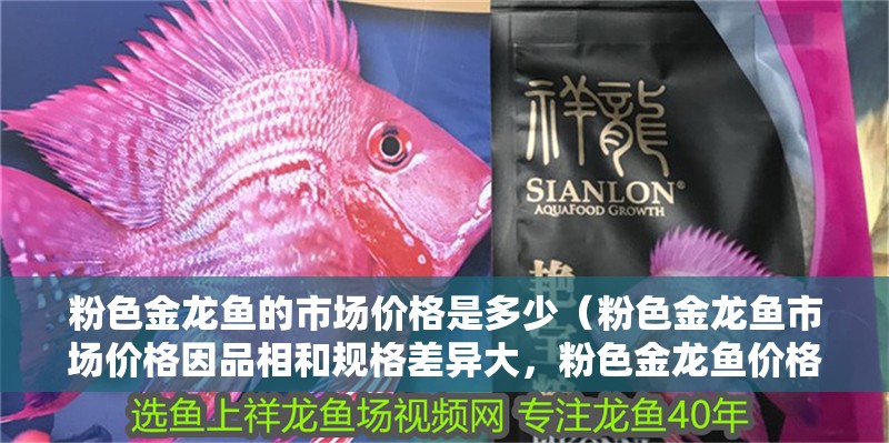 粉色金龍魚的市場價格是多少（粉色金龍魚市場價格因品相和規格差異大，粉色金龍魚價格差異大）