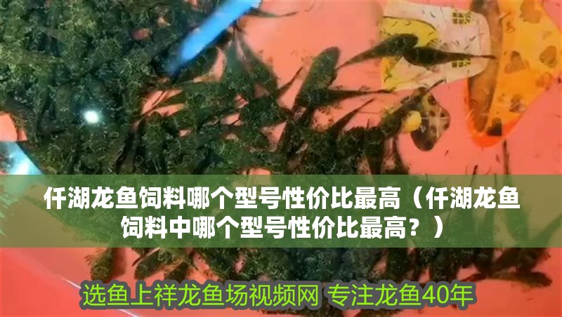仟湖龍魚飼料哪個型號性價比最高（仟湖龍魚飼料中哪個型號性價比最高？）