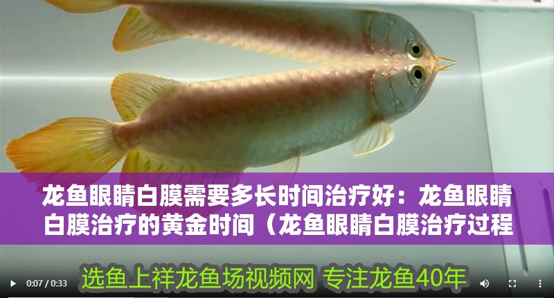 六角龍魚(yú)外鰓疾病有哪些癥狀？（六角恐龍魚(yú)快死的征兆）