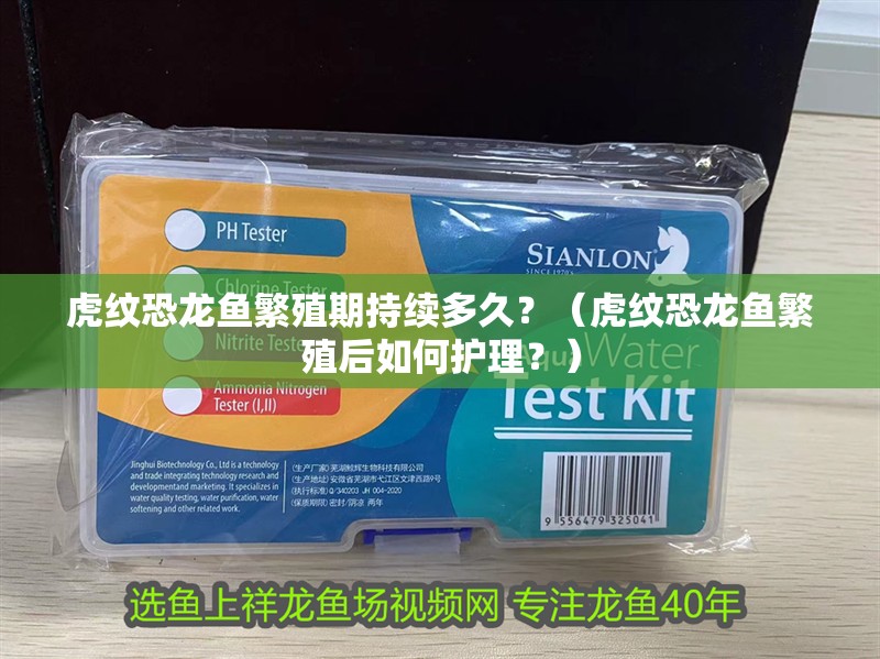 虎紋恐龍魚繁殖期持續多久？（虎紋恐龍魚繁殖后如何護理？）