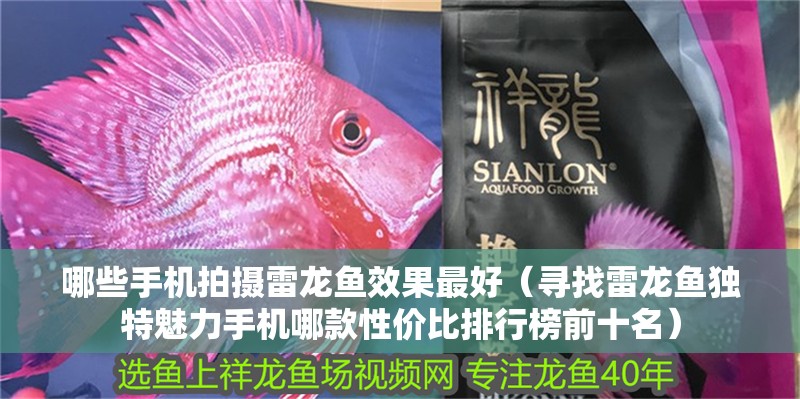 哪些手機拍攝雷龍魚效果最好（尋找雷龍魚獨特魅力手機哪款性價比排行榜前十名）
