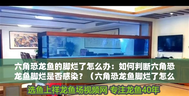 六角恐龍魚的腳爛了怎么辦：如何判斷六角恐龍魚腳爛是否感染？（六角恐龍魚腳爛了怎么辦：如何判斷六角恐龍魚的腳爛是否感染）