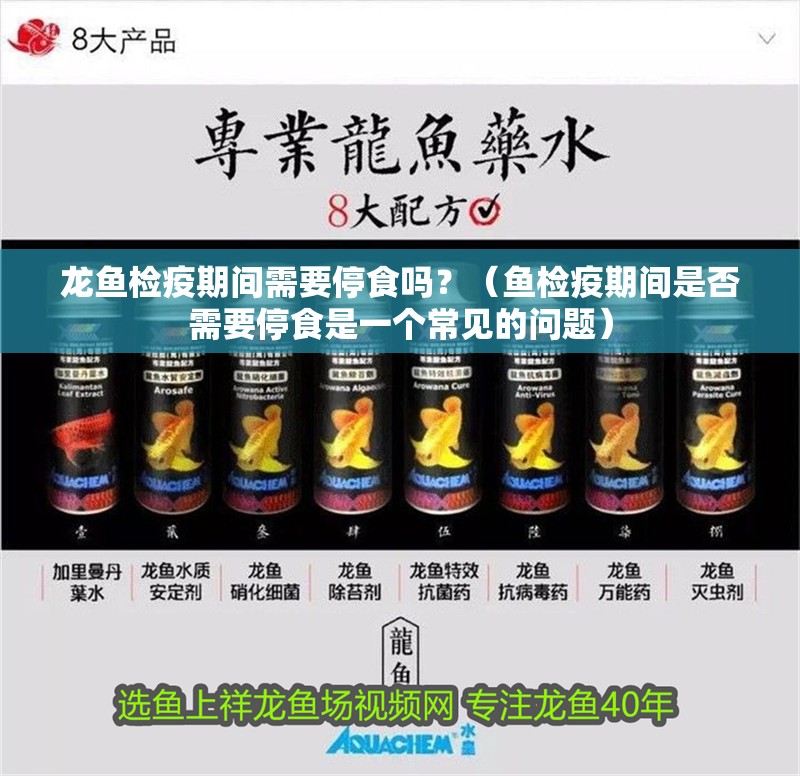 龍魚檢疫期間需要停食嗎？（魚檢疫期間是否需要停食是一個常見的問題）