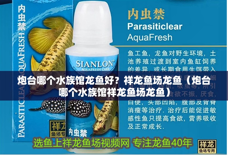炮臺哪個水族館龍魚好？祥龍魚場龍魚（炮臺哪個水族館祥龍魚場龍魚）