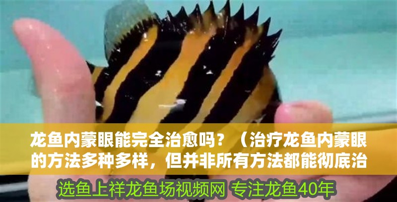 龍魚內蒙眼能完全治愈嗎？（治療龍魚內蒙眼的方法多種多樣，但并非所有方法都能徹底治愈）