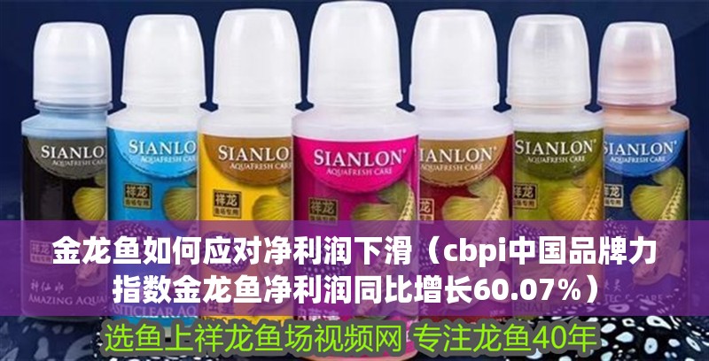 金龍魚如何應對凈利潤下滑（cbpi中國品牌力指數金龍魚凈利潤同比增長60.07%）