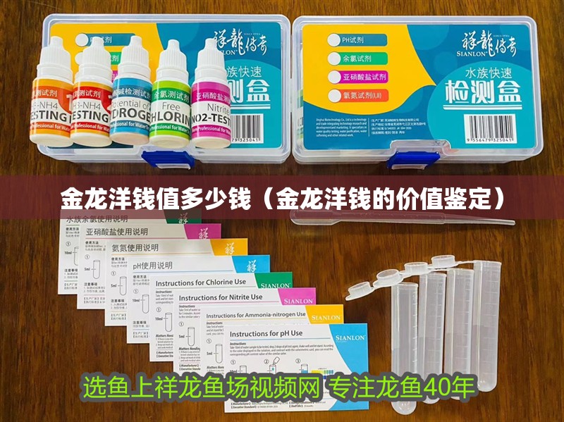 魚(yú)缸用增氧泵價(jià)格是多少:魚(yú)缸增氧機(jī)-xtrac增氧機(jī)-xtrac增氧機(jī) 金龍洋錢(qián)值多少錢(qián)(金龍洋錢(qián)的價(jià)值鑒定) 觀賞魚(yú)百科 金龍洋錢(qián)值多少錢(qián)(金龍洋錢(qián)的價(jià)值鑒定) 金龍洋錢(qián)值多少錢(qián)(金龍洋錢(qián)的價(jià)值鑒定) 觀賞魚(yú)百科