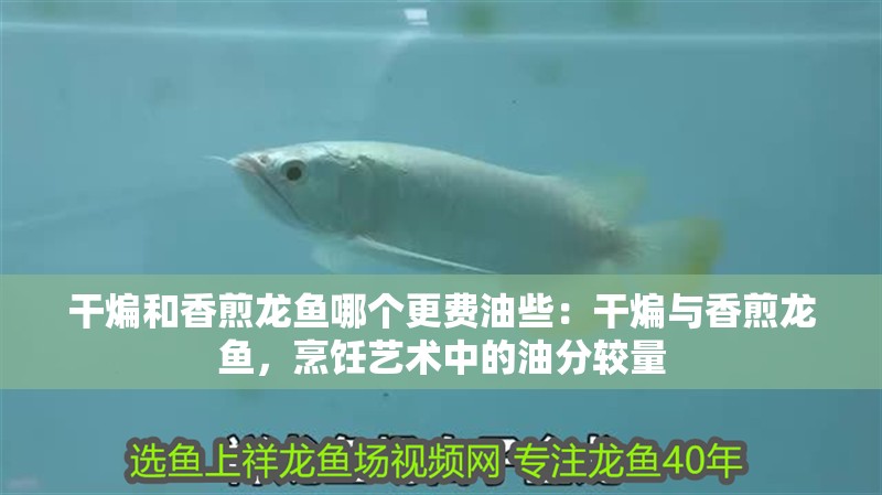 干煸和香煎龍魚哪個(gè)更費(fèi)油些：干煸與香煎龍魚，烹飪藝術(shù)中的油分較量