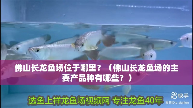 佛山長龍魚場位于哪里？（佛山長龍魚場的主要產品種有哪些？）